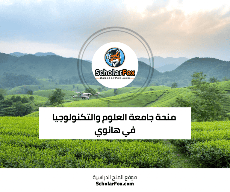 منحة جامعة العلوم والتكنولوجيا في هانوي