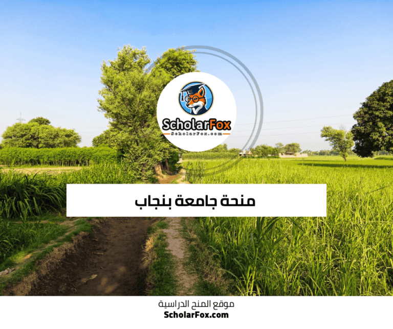 منحة جامعة بنجاب