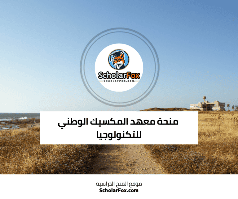 منحة معهد المكسيك الوطني للتكنولوجيا