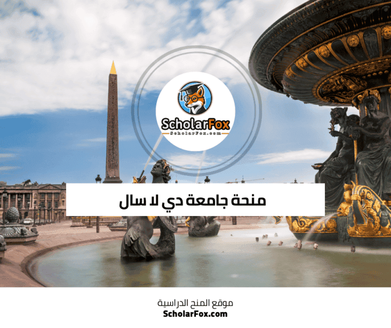 منحة جامعة دي لا سال