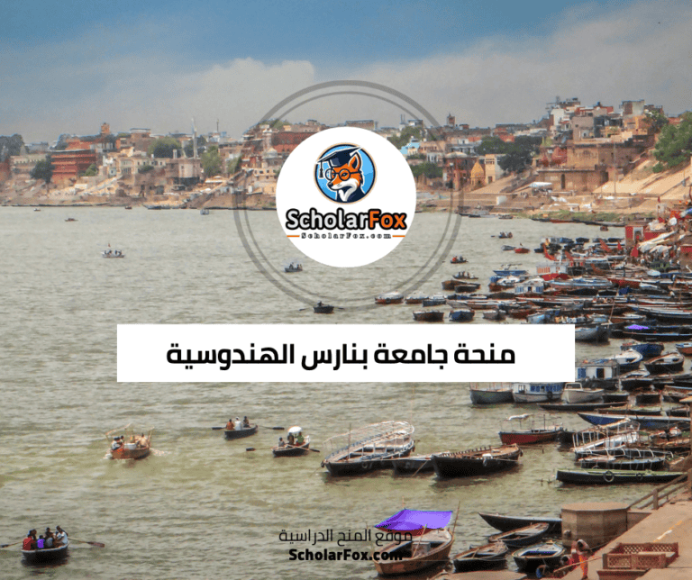 منحة جامعة بنارس الهندوسية