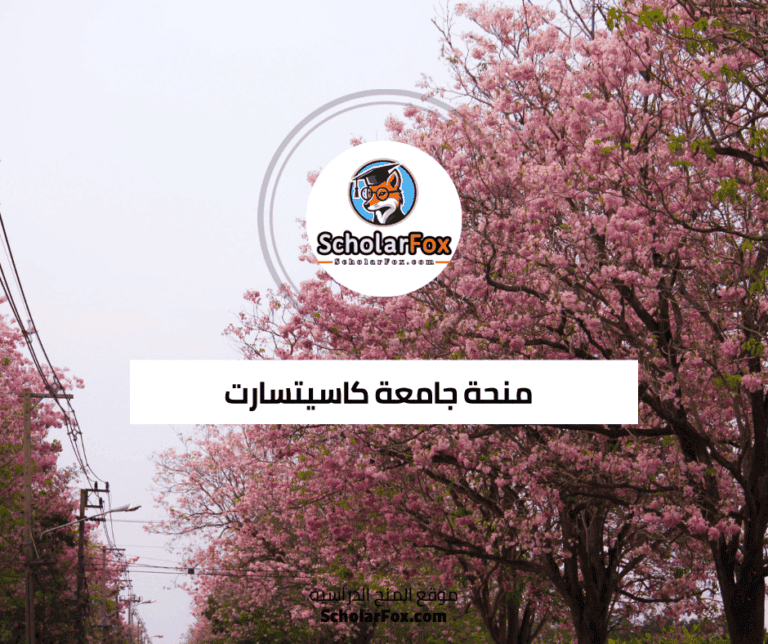 منحة جامعة كاسيتسارت