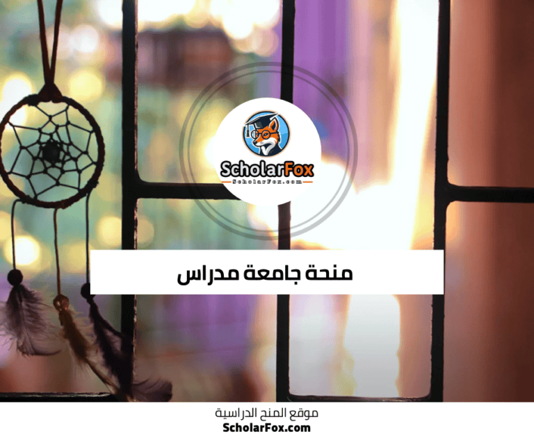 منحة جامعة مدراس