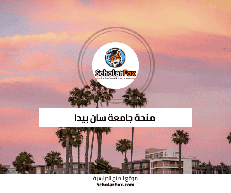 منحة جامعة سان بيدا