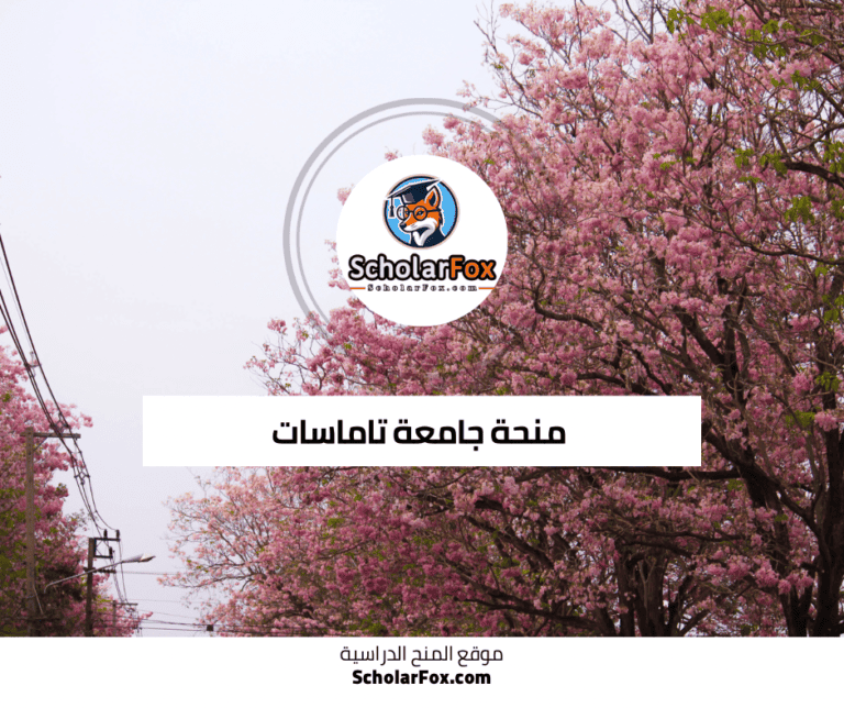 منحة جامعة تاماسات