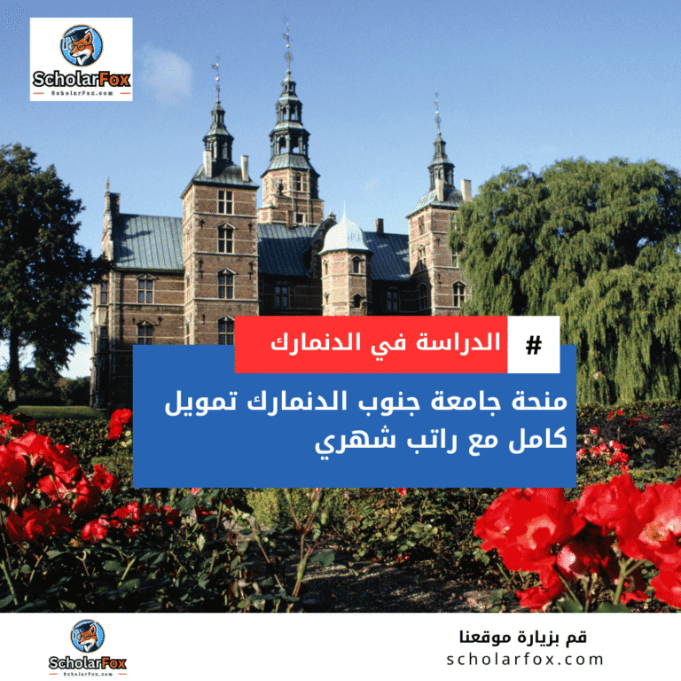 منحة جامعة جنوب الدنمارك
