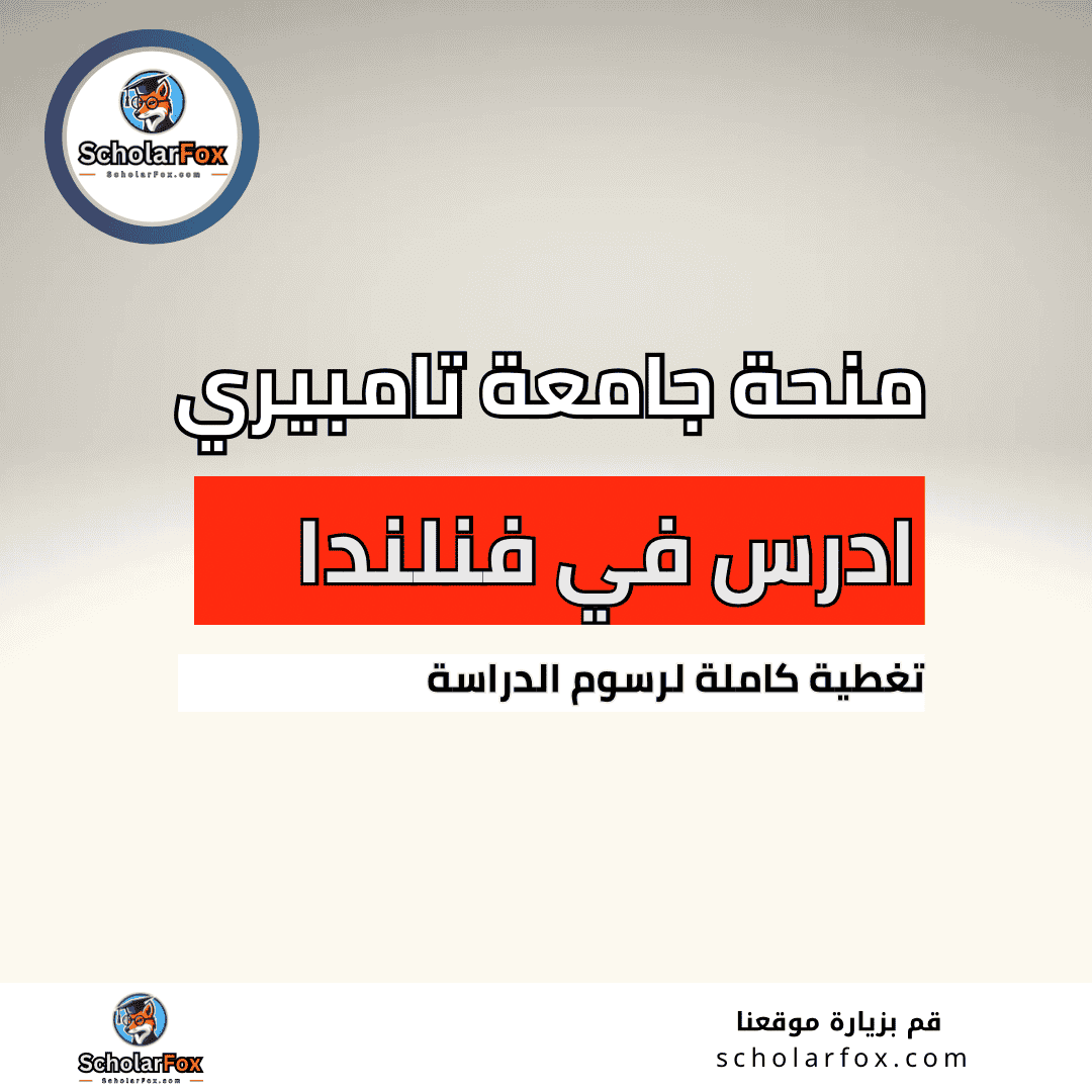 منحة جامعة تامبيري