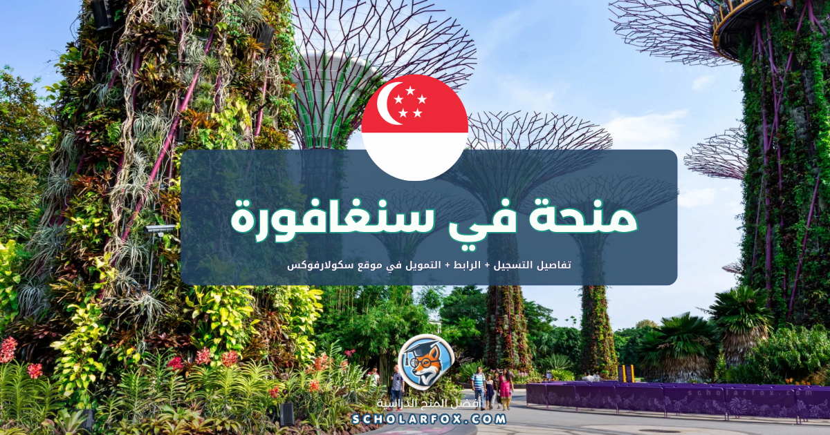 scholarfox.com Template 32 منحة معهد تيماسيك البوليتكنيكي للدوليين