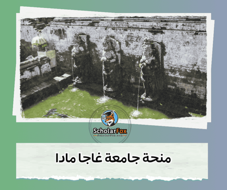 منحة جامعة غاجا مادا