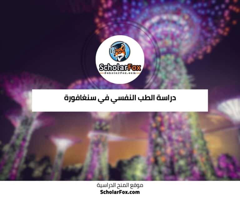 دراسة الطب النفسي في سنغافورة