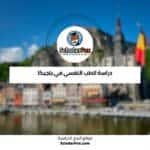 دراسة الطب النفسي في بلجيكا