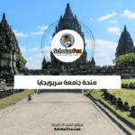 منحة جامعة سريويجايا