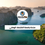 منحة جامعة الاقتصاد الوطني