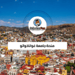 منحة جامعة غواناخواتو