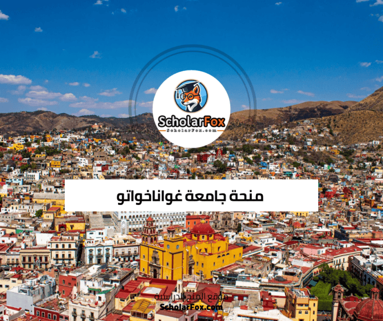 منحة جامعة غواناخواتو