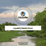 منحة جامعة رانغسيت