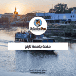 منحة جامعة تارتو