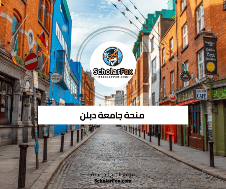 منحة جامعة دبلن