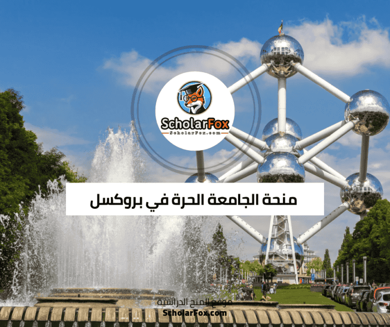 منحة الجامعة الحرة في بروكسل
