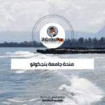 منحة جامعة بنجكولو