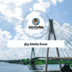 منحة جامعة رياو