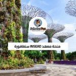منحة معهد INSEAD سنغافورة