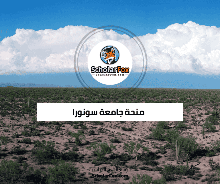 منحة جامعة سونورا
