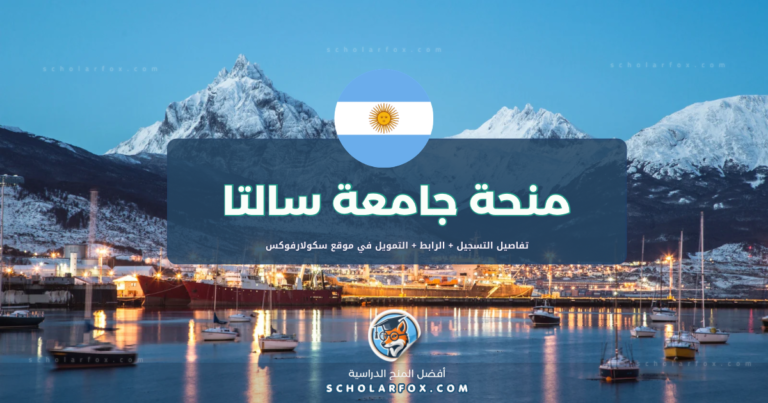 scholarfox.com Template 11 منحة جامعة سالتا للطلاب الأجانب