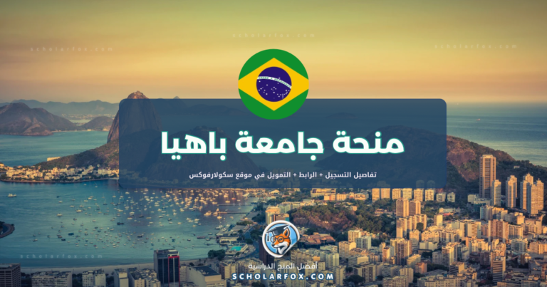 scholarfox.com Template 8 منحة الجامعة الفيدرالية في باهيا