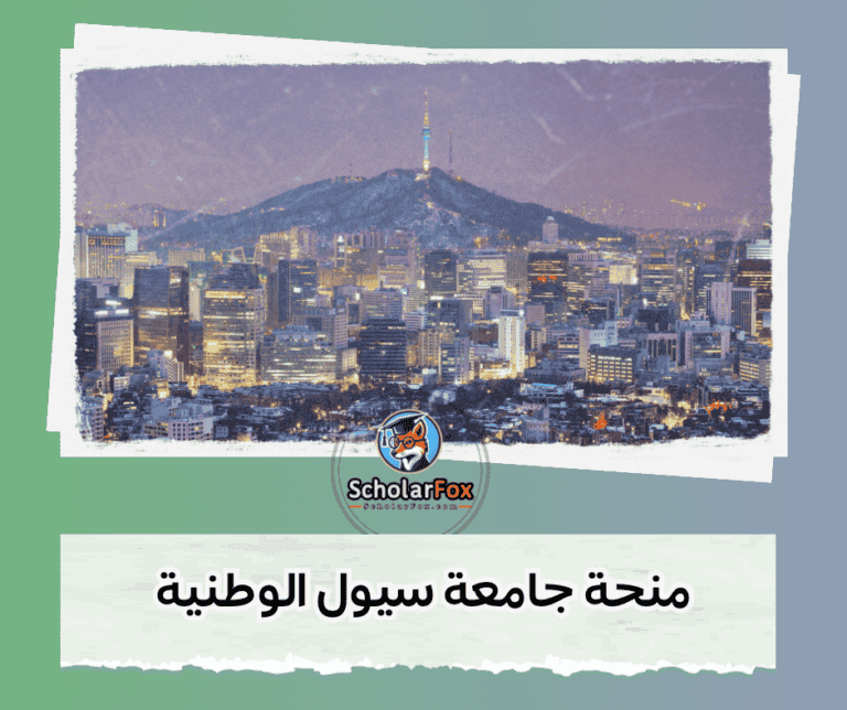 منحة جامعة سيول