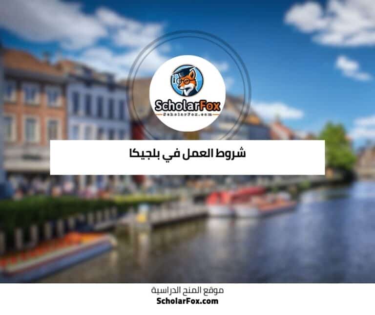 العمل في بلجيكا