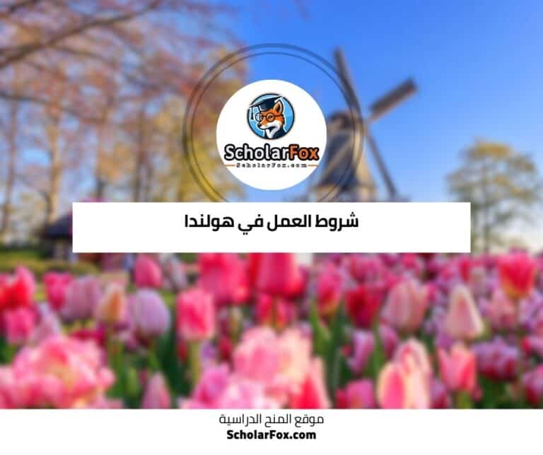 العمل في هولندا
