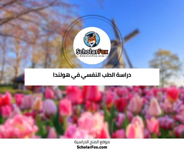 دراسة الطب النفسي في هولندا