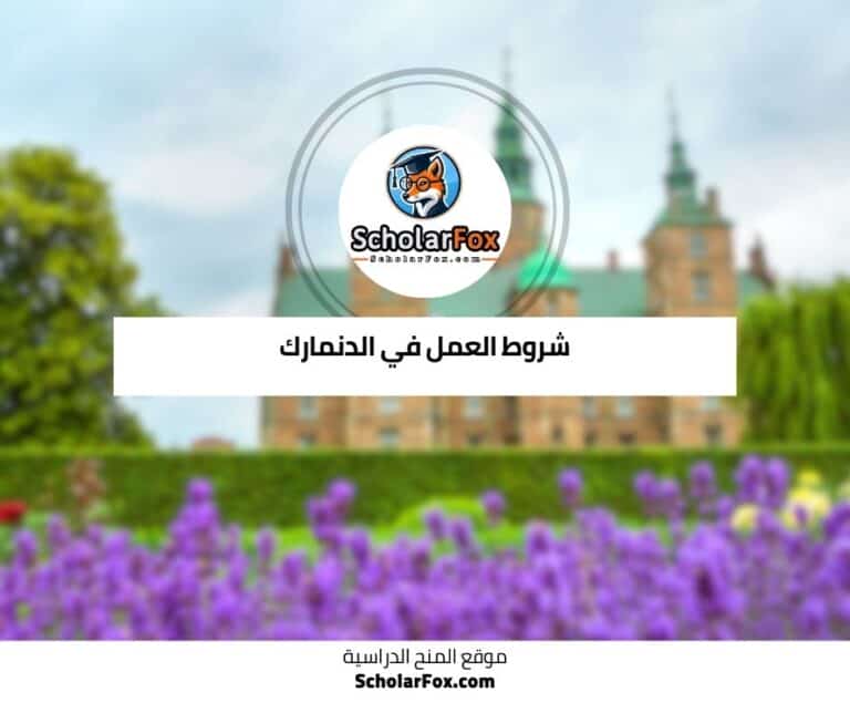 العمل في الدنمارك