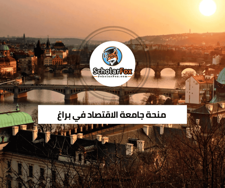 منحة جامعة الاقتصاد في براغ