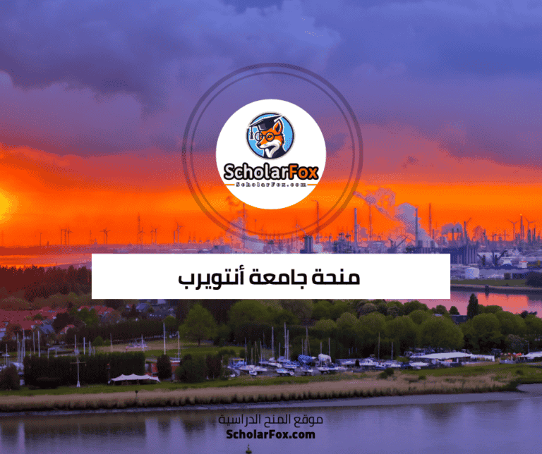 منحة جامعة أنتويرب