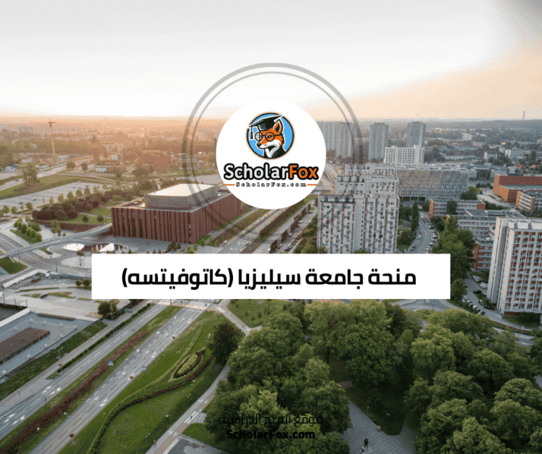 منحة جامعة سيليزيا (كاتوفيتسه)