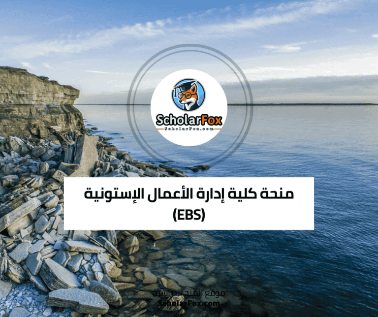 منحة كلية إدارة الأعمال الإستونية