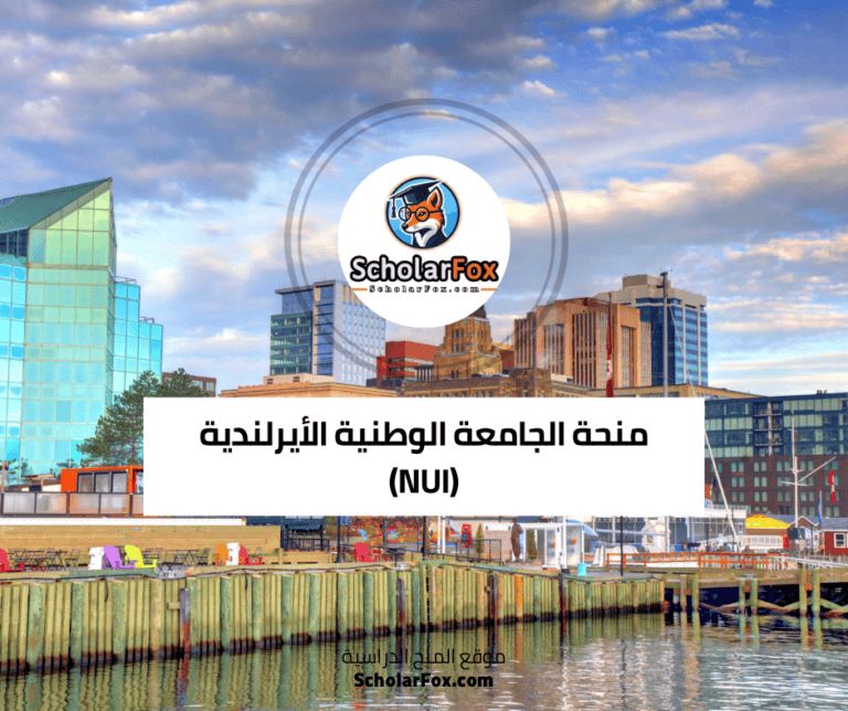 منحة الجامعة الوطنية الأيرلندية (NUI)