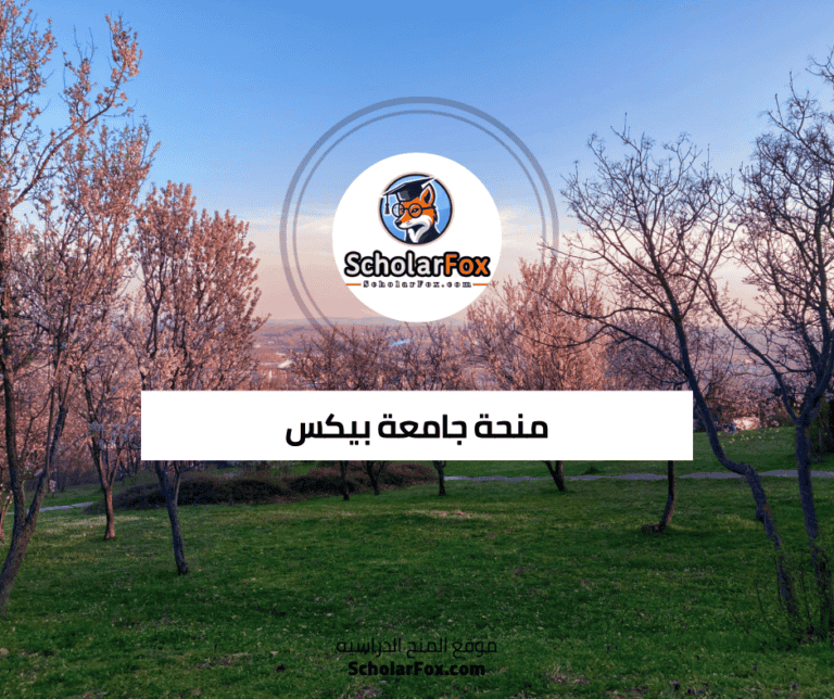 منحة جامعة بيكس