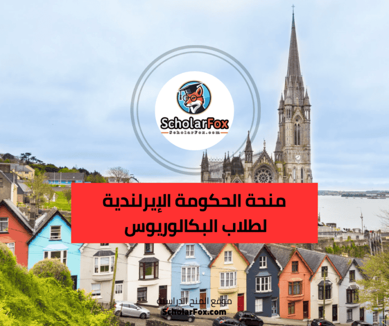 منحة الحكومة الإيرلندية لطلاب البكالوريوس