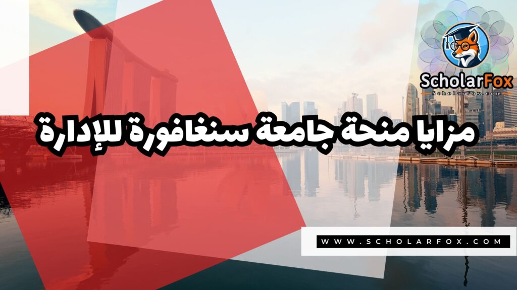 صور المنح للموقع scholarfox منحة جامعة سنغافورة للإدارة