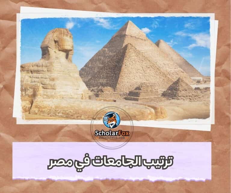 الجامعات في مصر