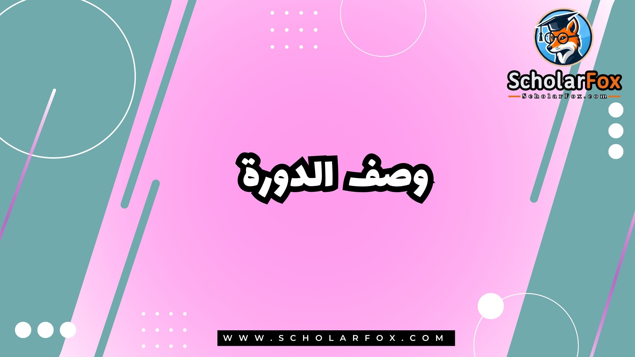وصف دورة تدريب اللياقة البدنية وإنقاص الوزن