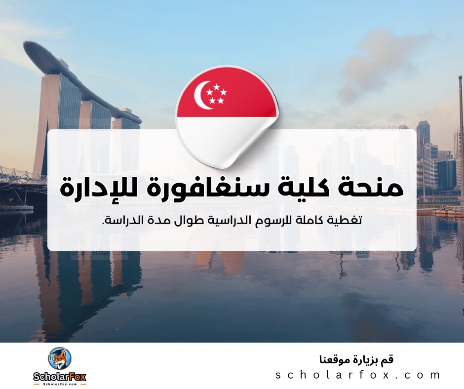 منحة جامعة سنغافورة للإدارة