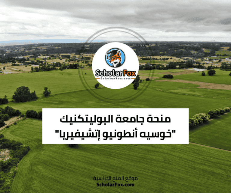 منحة جامعة البوليتكنيك