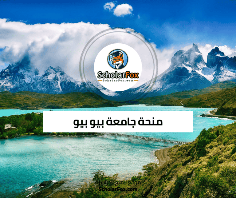 منحة جامعة بيو بيو