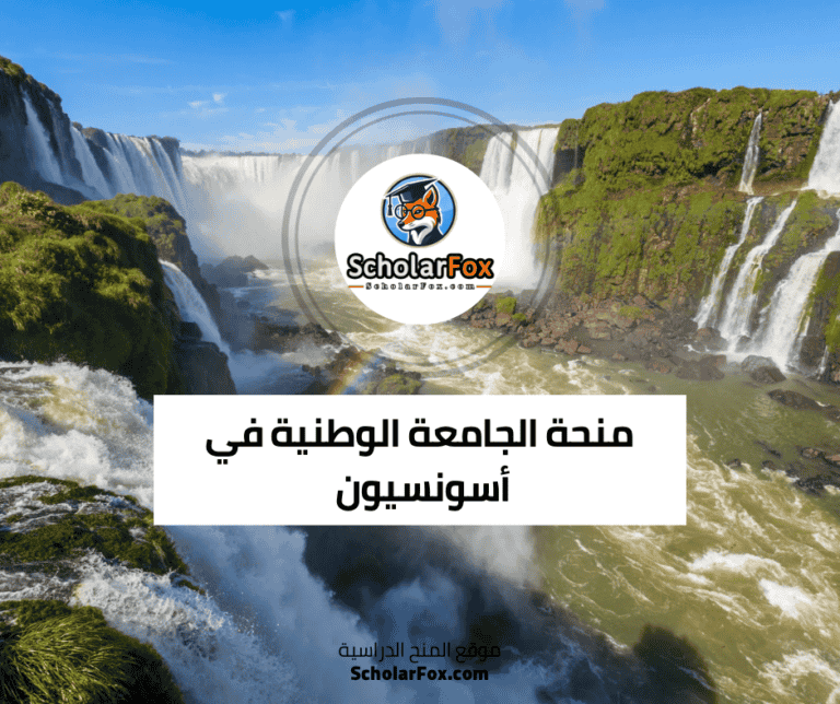 منحة الجامعة الوطنية في أسونسيون