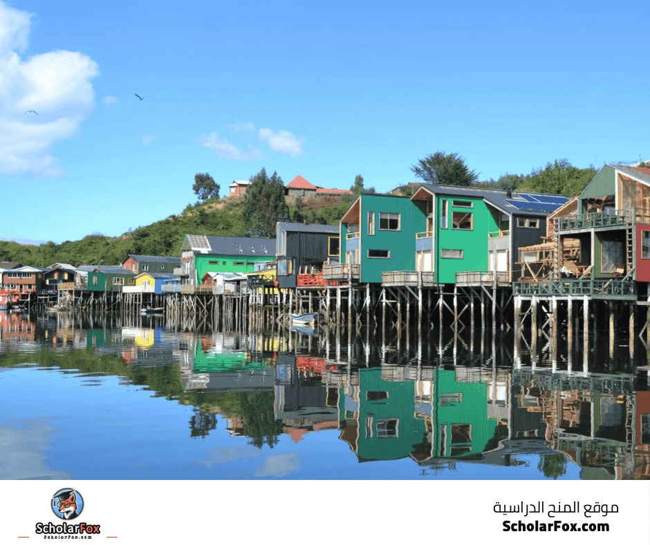 الجامعة الكاثوليكية في تيموكو