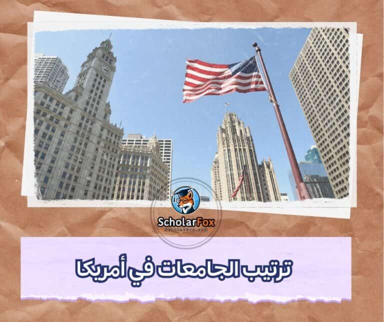 الجامعات في أمريكا